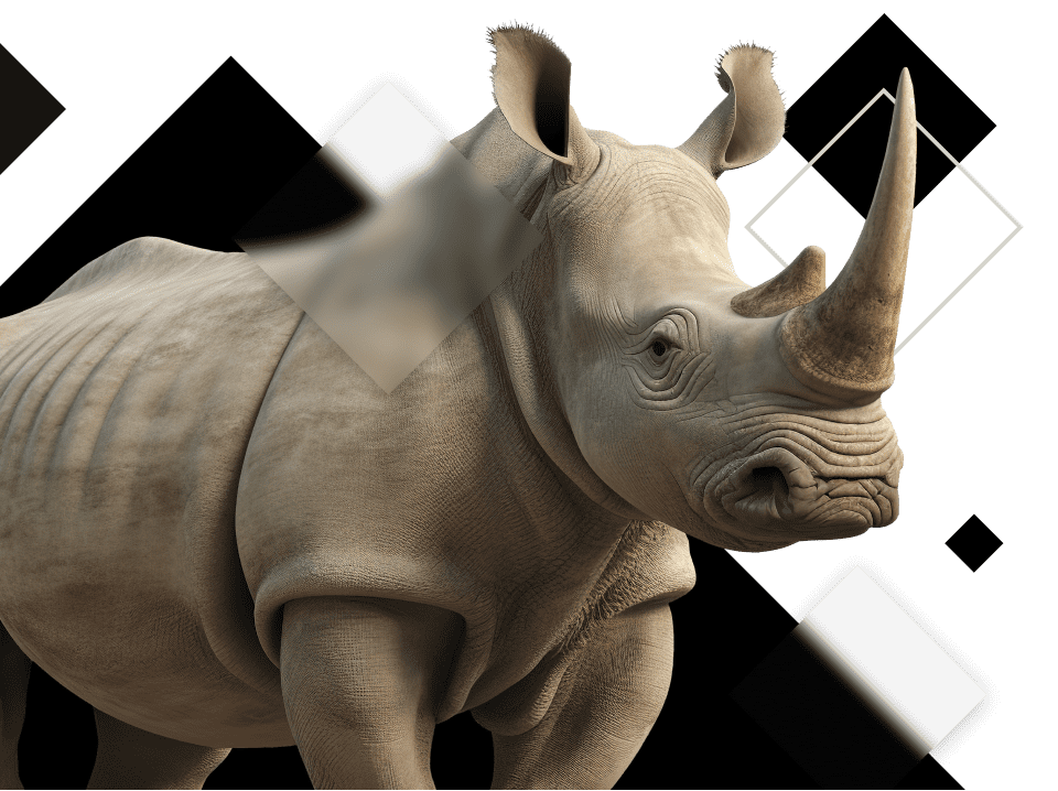 rhino