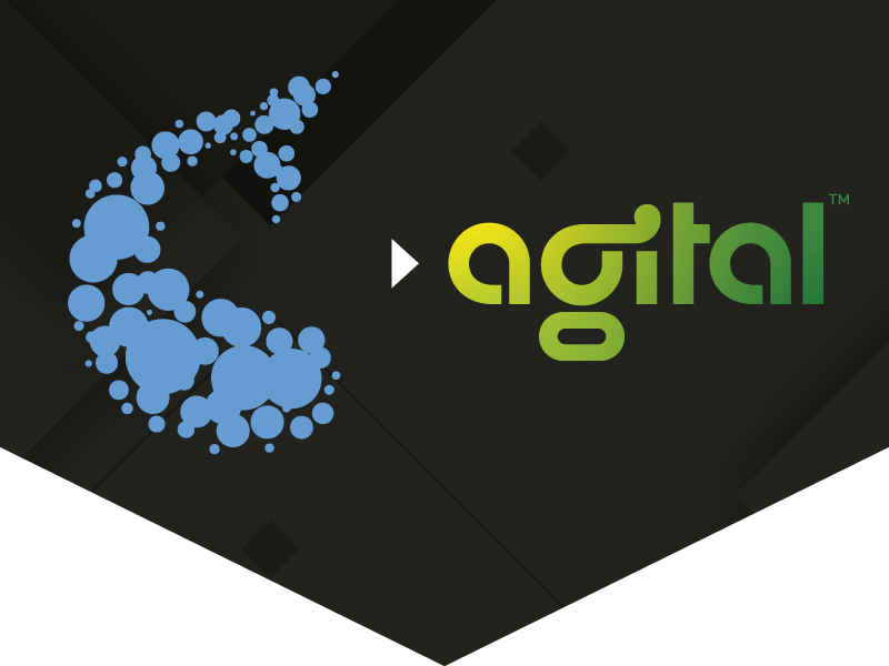 Agital Welcomes Go Fish Digital to the Family